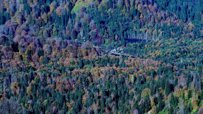 Artvin Karçal Dağları'nda sonbahar güzelliği